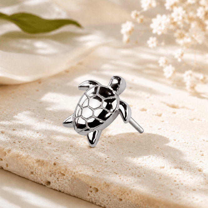 Hovedbillede Sea Turtle Push-fit 