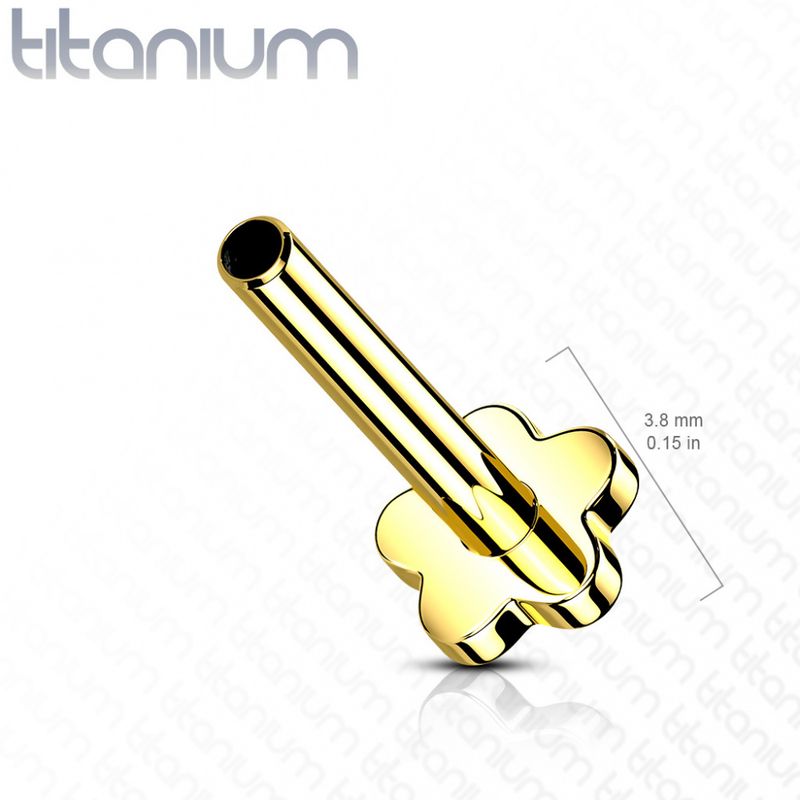 Push-fit Threadless Flower Labret Gold