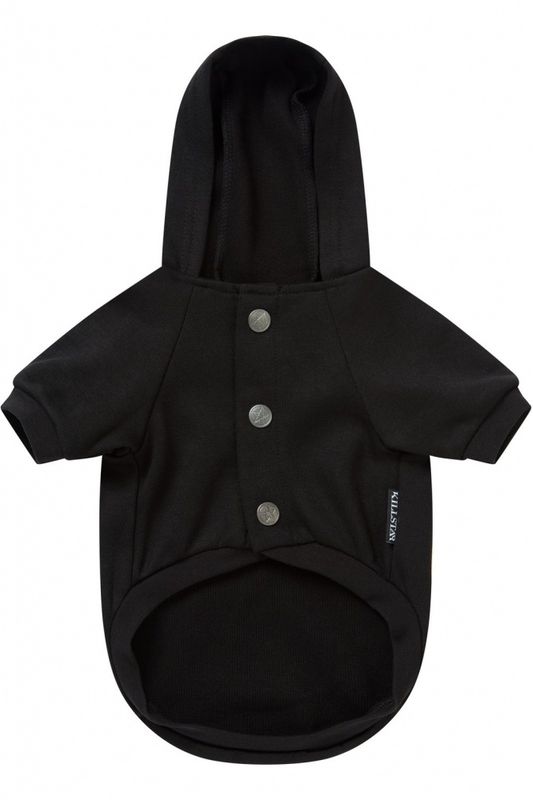 Wizard In Training Pet Hoodie