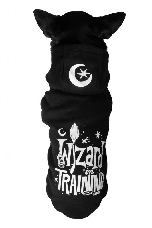 Witch In Training Pet Hoodie