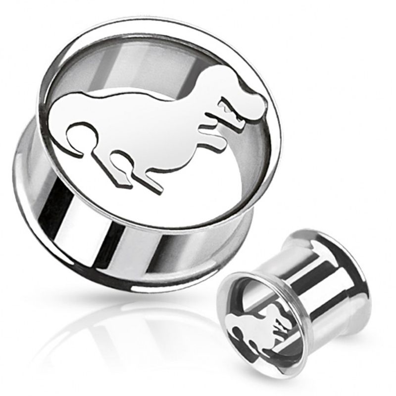 Flare Dinosaur Tunnel