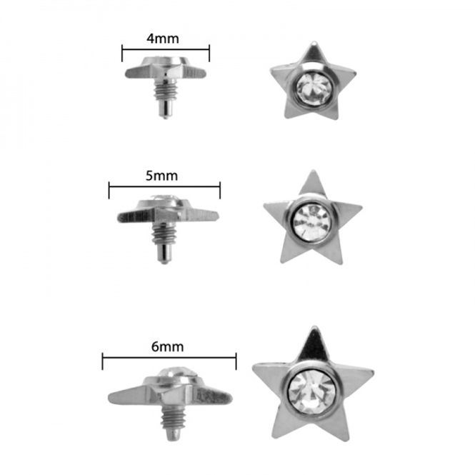 Hoofdbeeld Dermal Disc Crystal Star