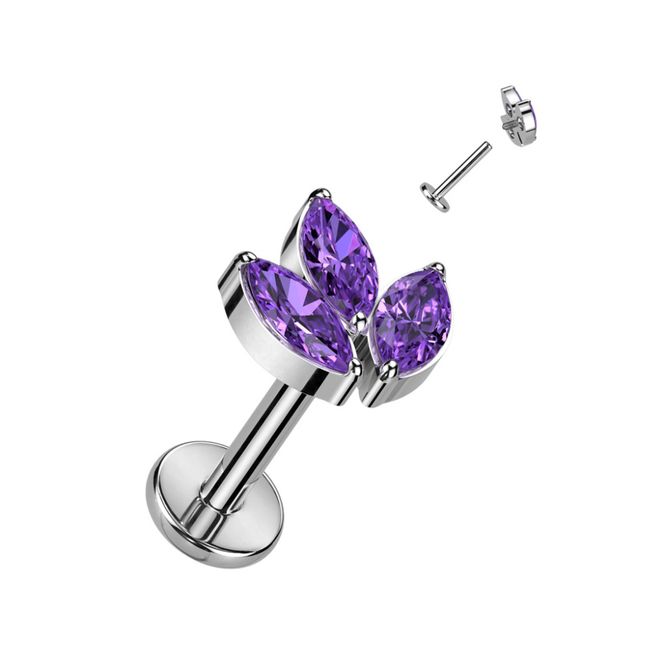 Hovedbillede Lilly Purple Labret