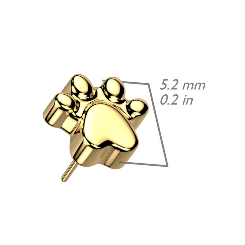 Memory Paw Print Push-fit Black