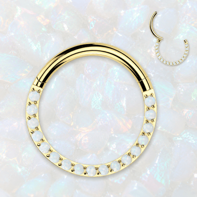 Hovedbillede Diana Front Facing Hinged ...