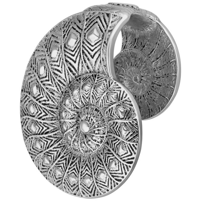 Hoofdbeeld Fossil Ear Cuffs