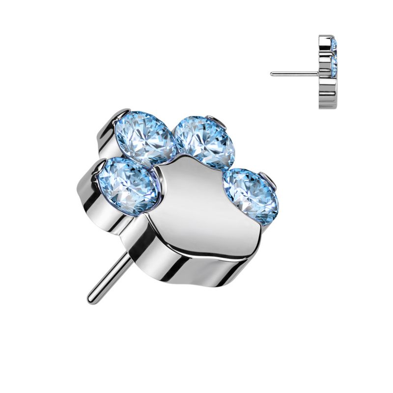 Paw Crystal Push-fit Blue