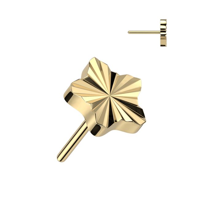 Huvudbild Neo Ridges Star Push-fit Gold