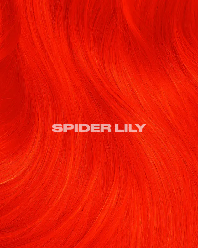 Lunar Tides SPIDER LILY