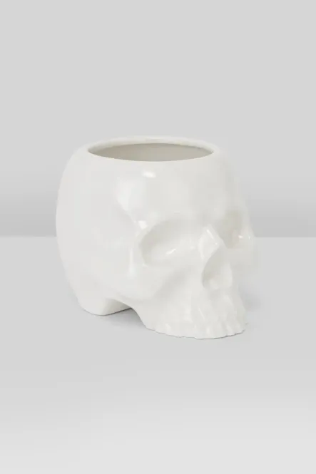 Main Image Cranium Planter